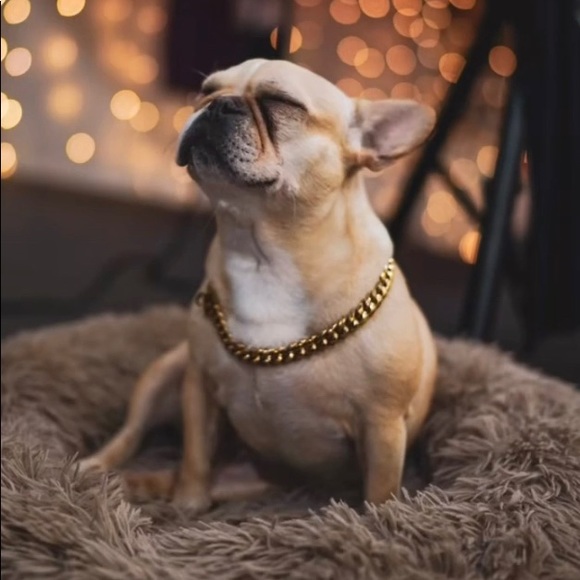 Meet your Posher, William - Picture 1 of 1